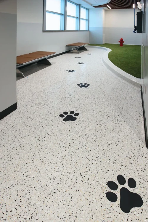 Dane-County-Regional-Airport-1
